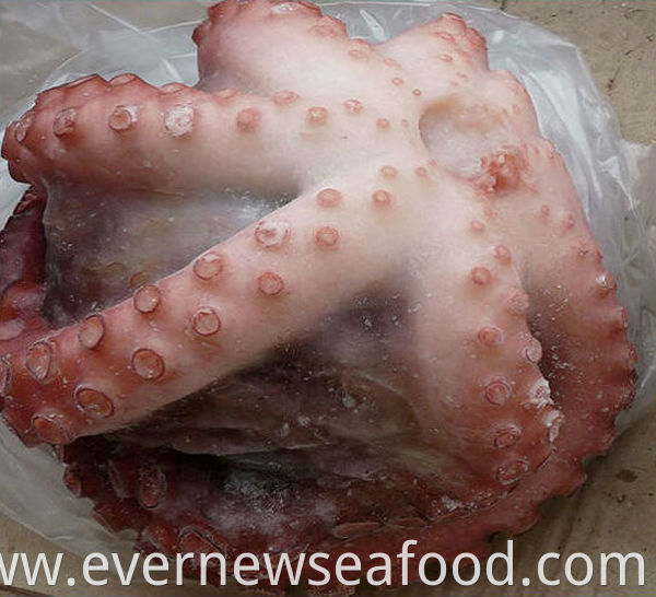 frozen octopus for sale